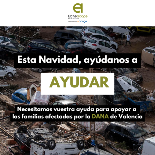 Dona Dana: Campaña Navidad Elche Acoge