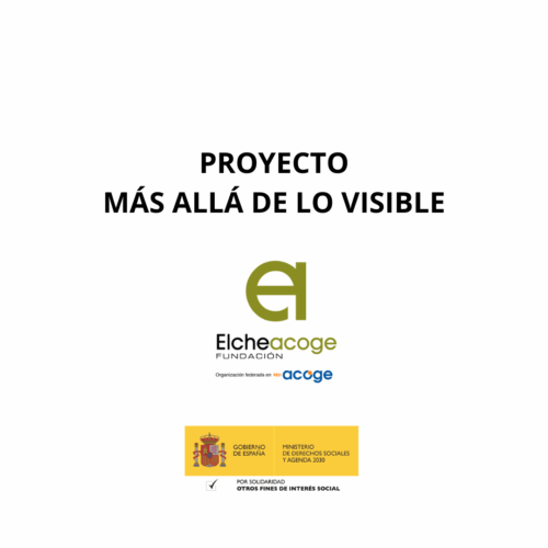Proyecto Más allá de lo visible